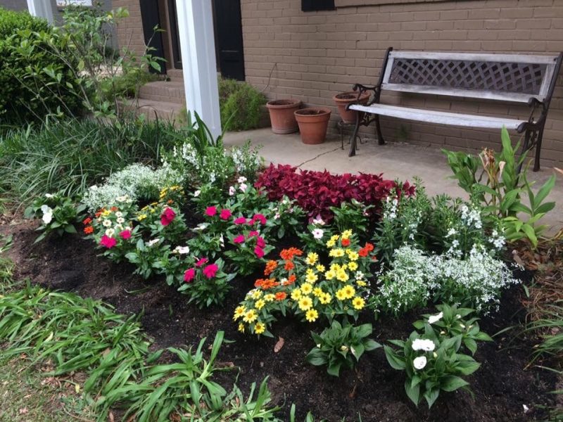 Color flow and texture change